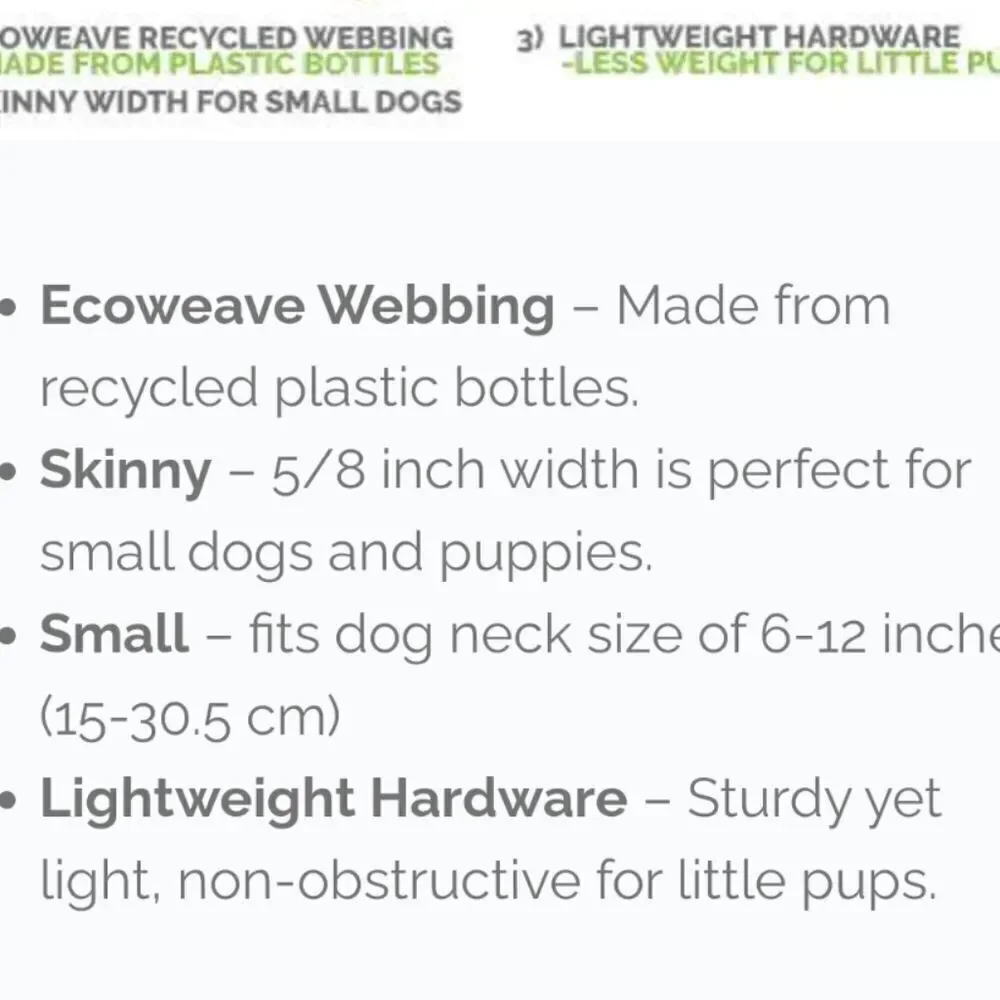Earth Friendly Recyclable Collar Cycle Dog